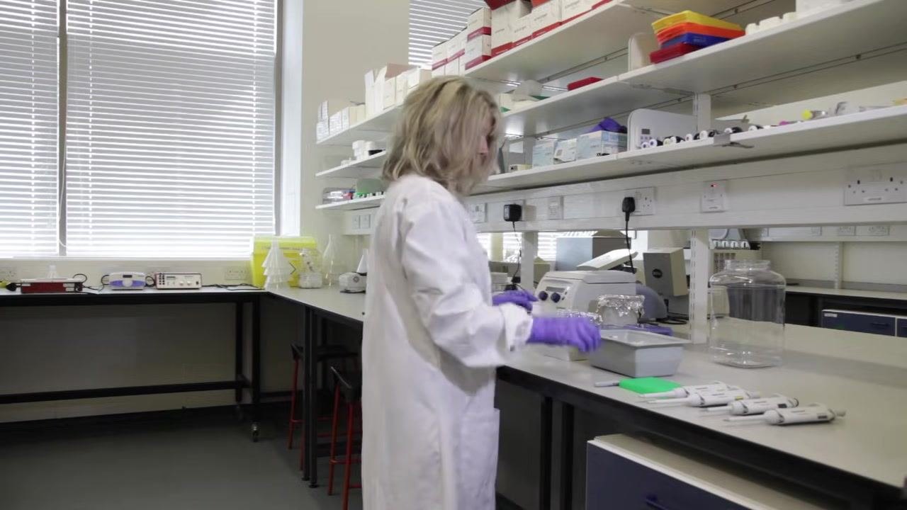Close-up of labeled PCR tubes in a green rack, with pipettes and a gloved hand holding a marker
