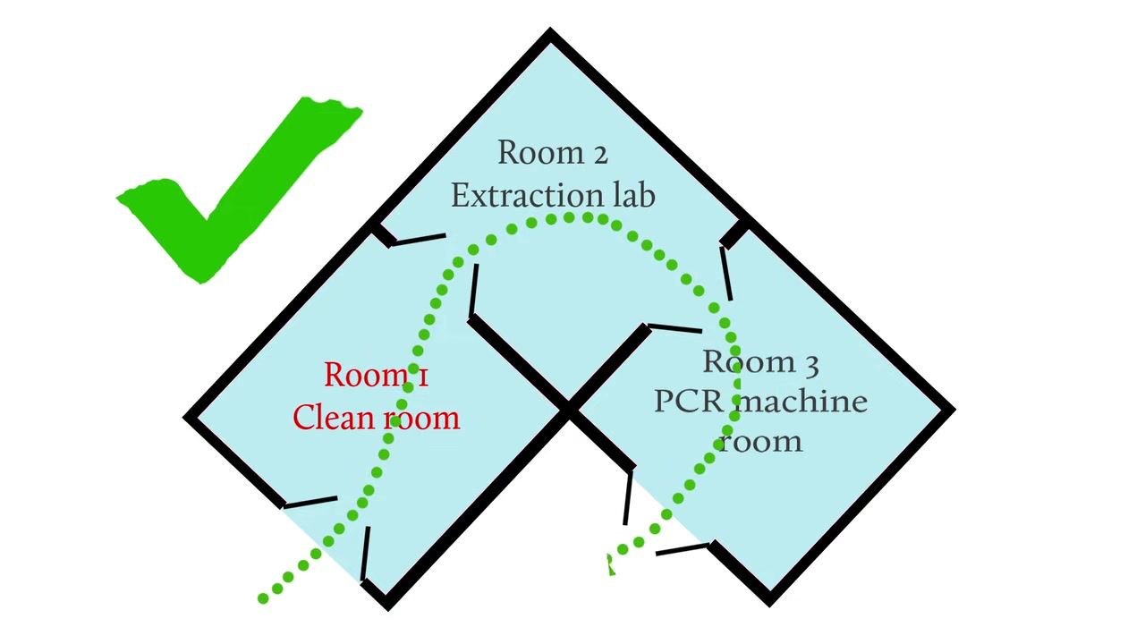 Diagram showing three-room workflow: Room 1 (Clean room), Room 2 (Extraction lab), Room 3 (PCR machine room), with a green checkmark and a unidirectional path from Room 1 to Room 2 to Room 3.