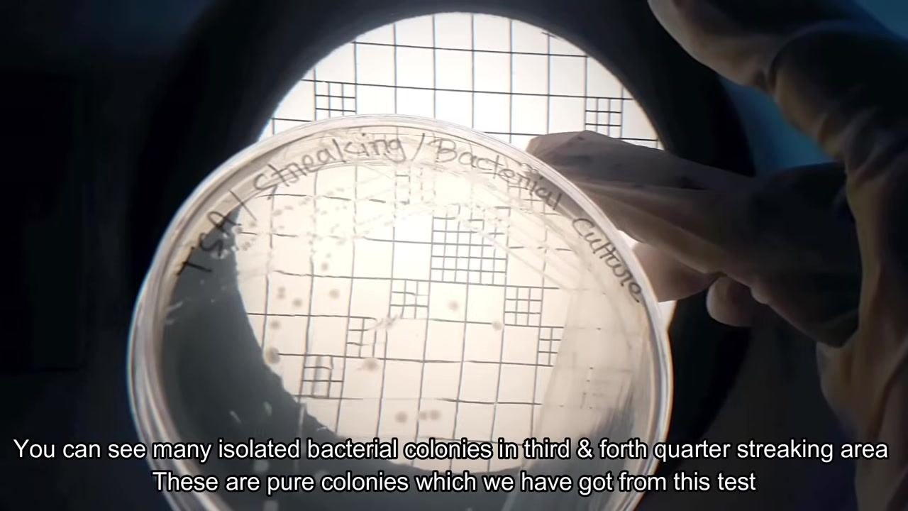 A gloved hand reaching into an open incubator to remove a petri dish, with the display showing 36.4°C.