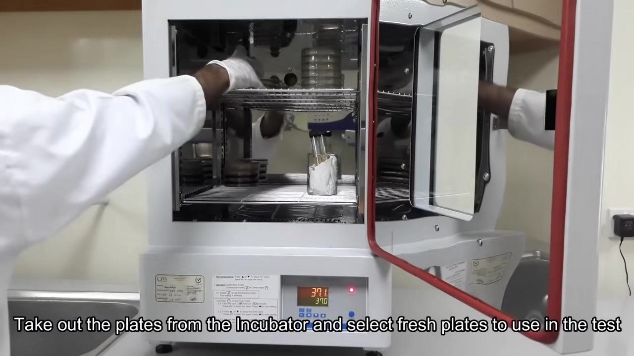 A fresh TSA culture plate and a bacterial culture plate placed inside the biological safety cabinet, with a red tube rack.