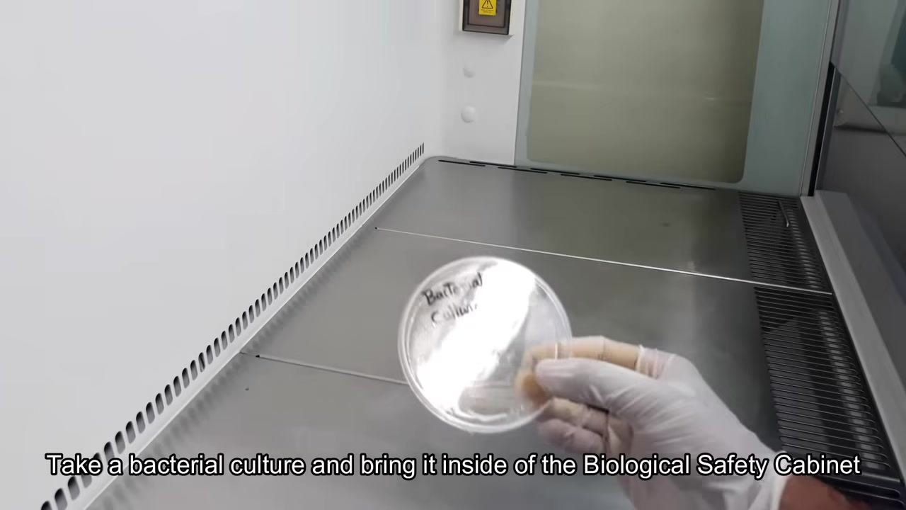A gloved hand holds an inoculating loop near the flame of a Bunsen burner.