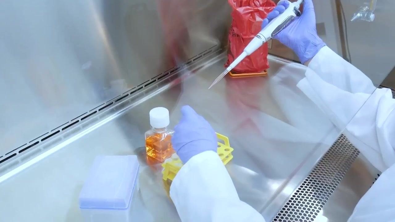 A worker uses a pipette with slow, deliberate movements above a tube rack inside the cabinet.