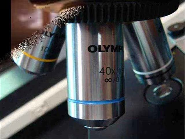 Close-up of microscope nosepiece with the 40x objective (blue band) centered, showing how close it is to the stage.