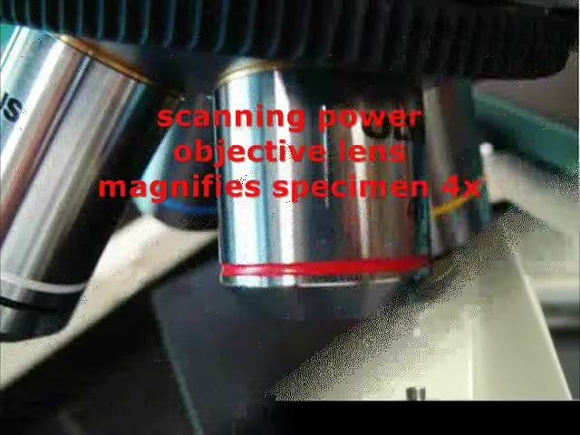Hand rotating the nosepiece to switch objective lenses on the microscope, with multiple objective lenses visible.