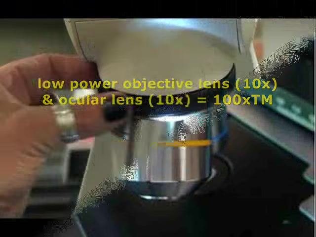 Hand rotating the microscope nosepiece, showing a lens with a protective cover and overlaid text: "low power objective lens (10x) & ocular lens (10x) = 100xTM".