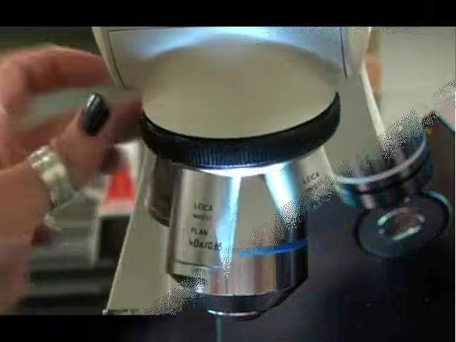 Close-up of microscope objective lens labeled "LEICA PLAN 100x/1.25" with overlaid text: "oil immersion objective lens magnifies specimen 100x".