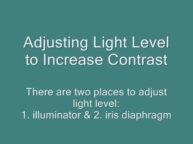 Instructional slide: "Adjusting Light Level to Increase Contrast. There are two places to adjust light level: 1. illuminator & 2. iris diaphragm" on a teal background.