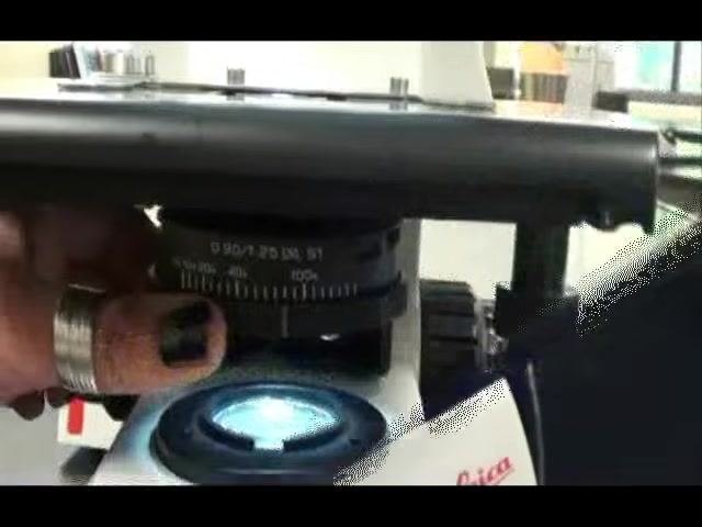 Close-up of the microscope base showing the illuminated light source labeled "Illuminator in base," with a hand near the power switch.