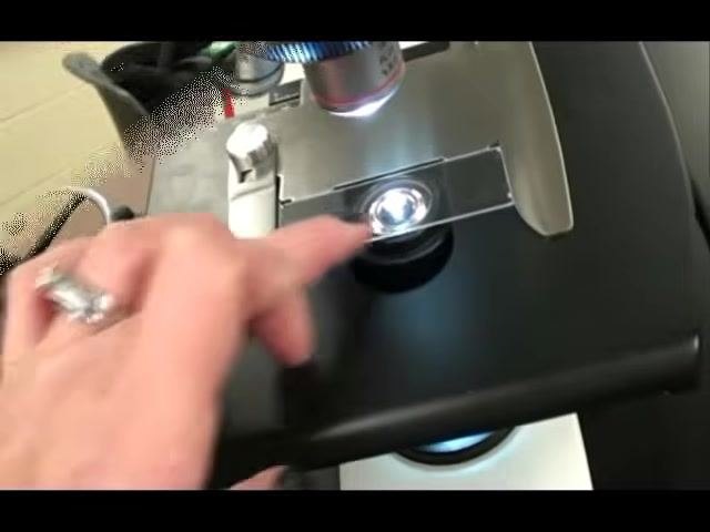Hand operating the coaxial adjustment knobs on the side of the stage to move and center the slide.