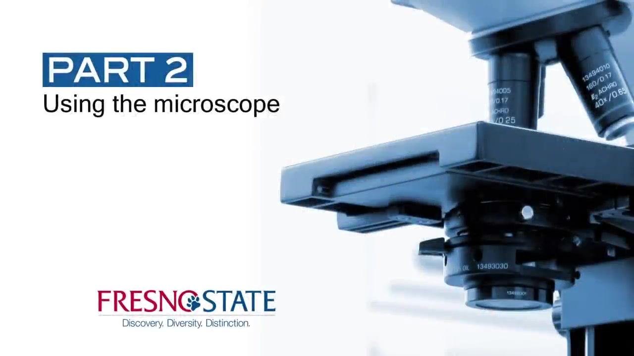 Close-up of the microscope base showing the light source and stage in its highest position
