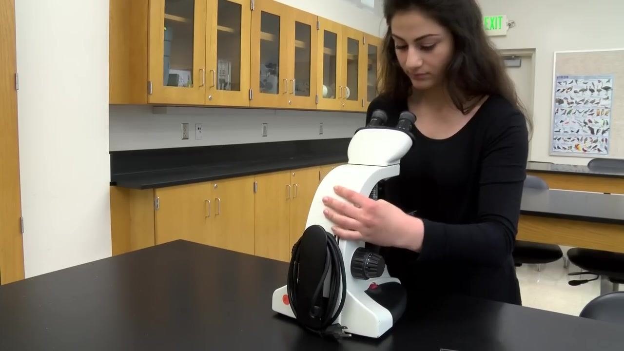 Hand adjusting the condenser lens below the stage of the microscope