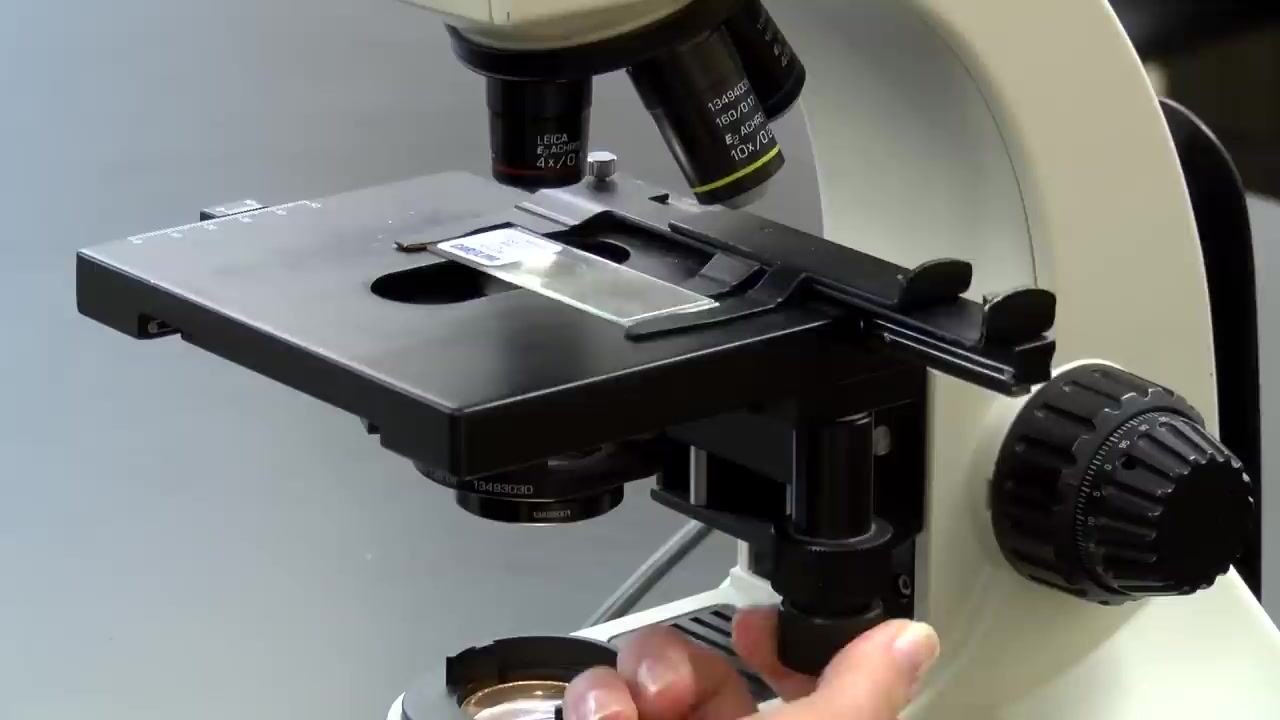 Person looking through the microscope eyepieces while adjusting the coarse focus knob