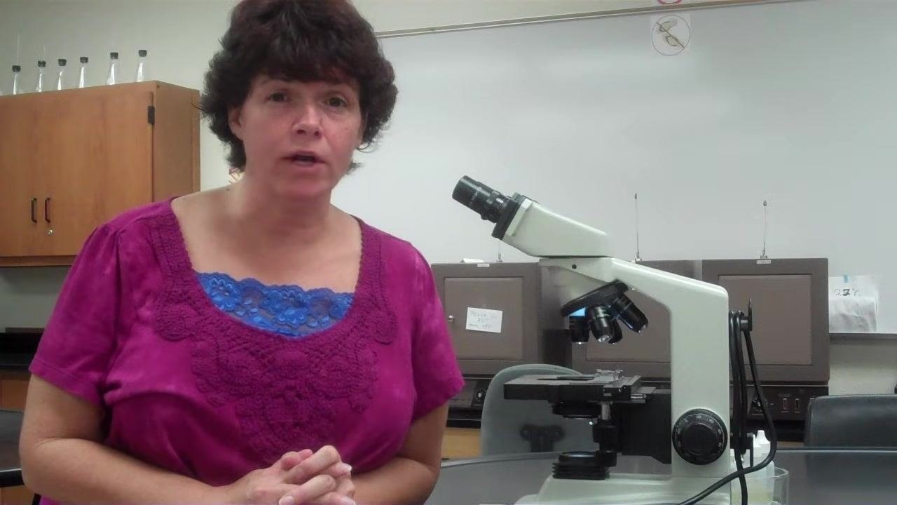A laboratory setup with a microscope on a table, a person in a magenta shirt, lab cabinets, glassware, a "Wear Your Gloves" safety poster, and a whiteboard in the background. The microscope is positioned for use.