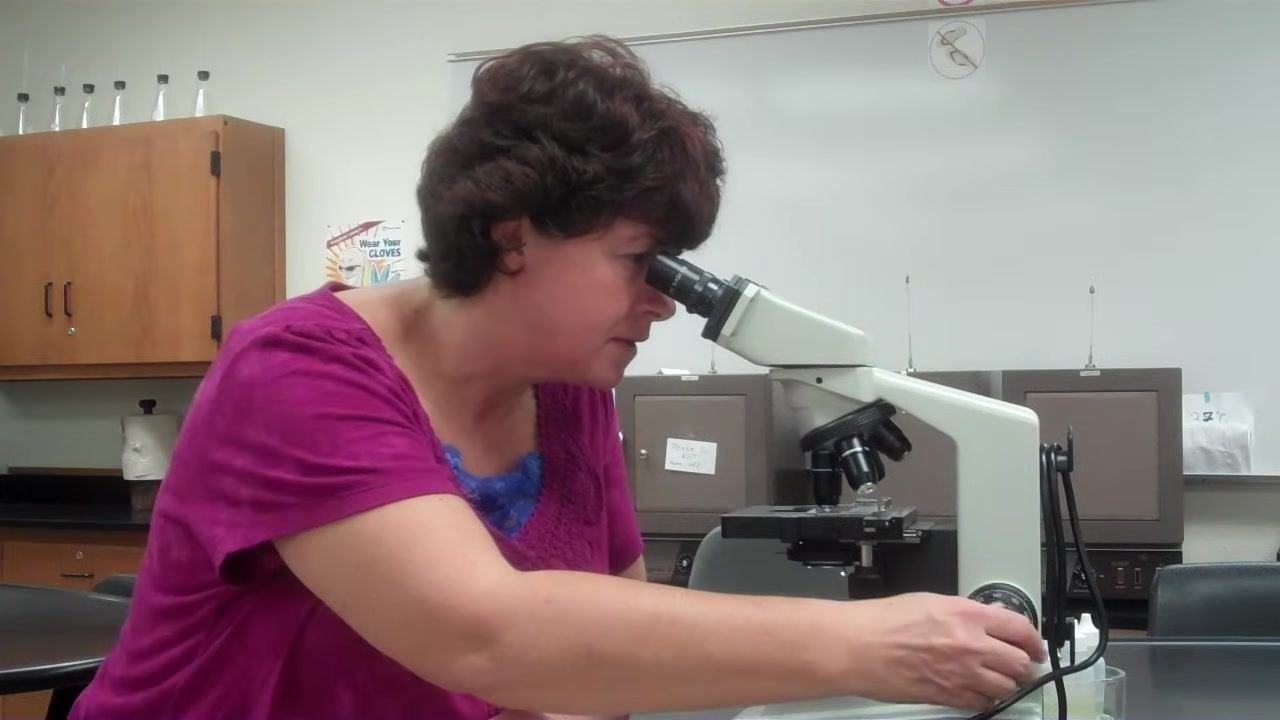 Instructor adjusting the microscope, preparing to transition between objectives.