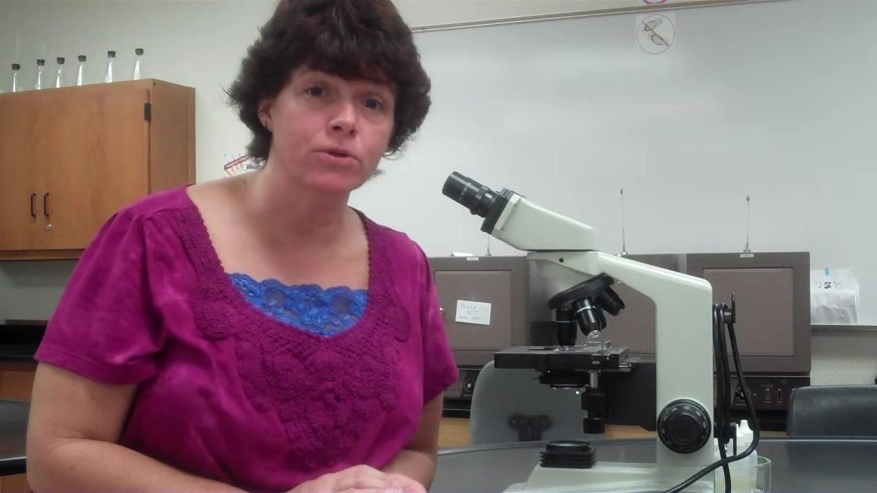 Instructor explaining what to expect if the image appears blurry before oil is applied.