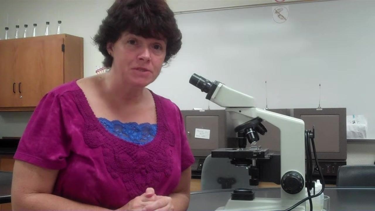 Instructor explaining the importance of distinguishing pink from purple coloration in Gram stain results.