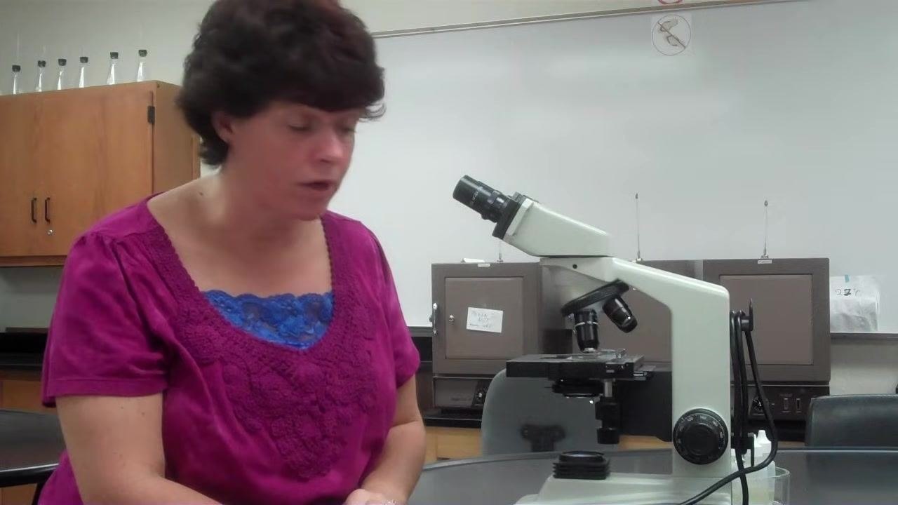 Instructor seated at a lab table with a microscope, preparing to discuss the immersion oil bottle; the microscope and lab environment are clearly visible.