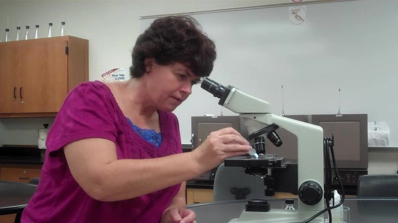Instructor leaning in and carefully applying a drop of immersion oil to the slide, ensuring the dropper does not touch the slide.