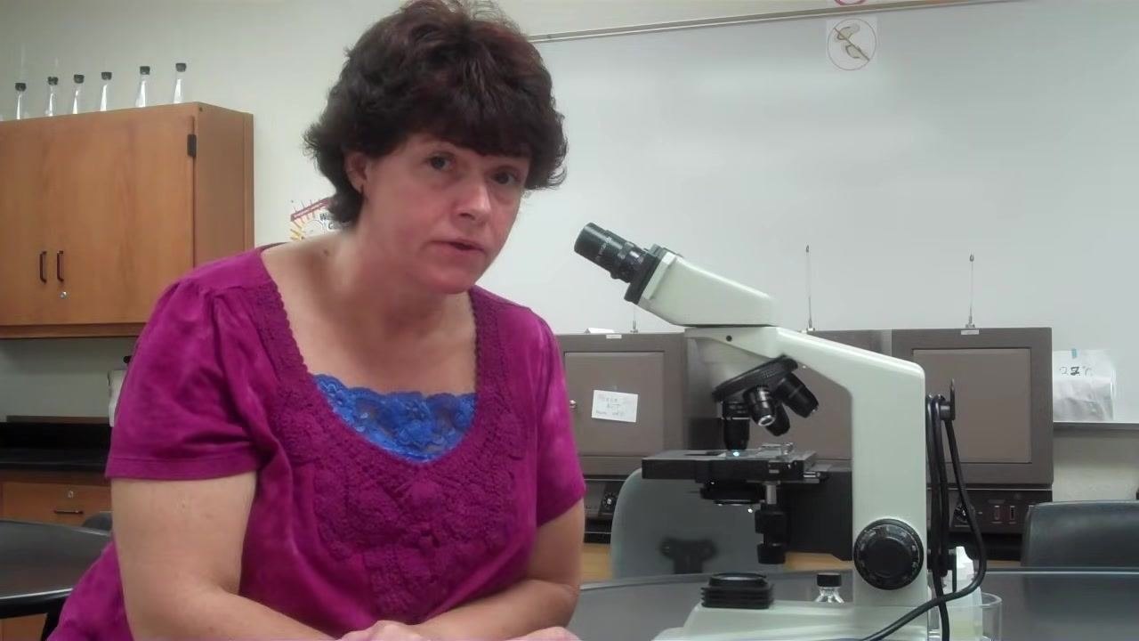 Instructor calmly explaining the increased difficulty of refocusing if the specimen is lost under oil immersion.