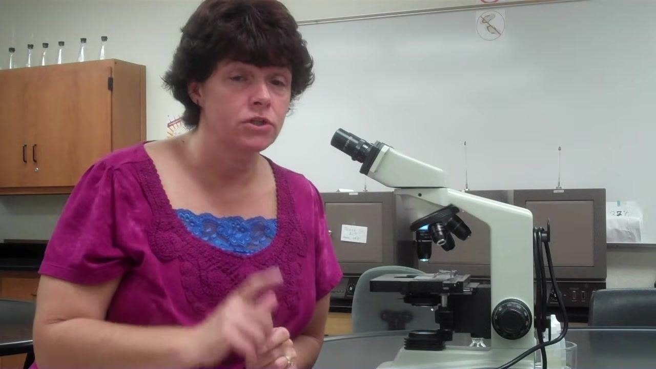 Instructor explaining how to identify the correct specimen under 100x, using a raised finger to emphasize the point.