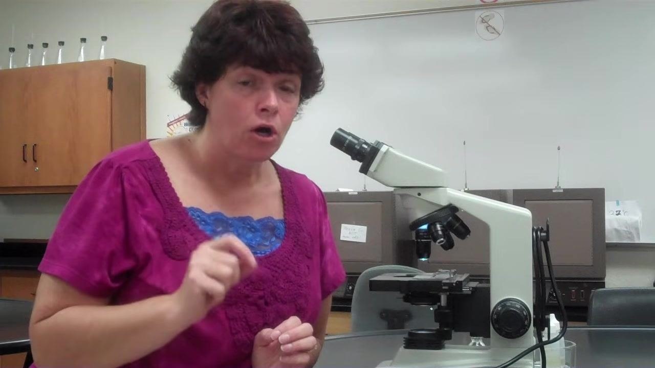 Instructor explaining not to draw bacteria as big blobs, with the microscope and lab setting visible.