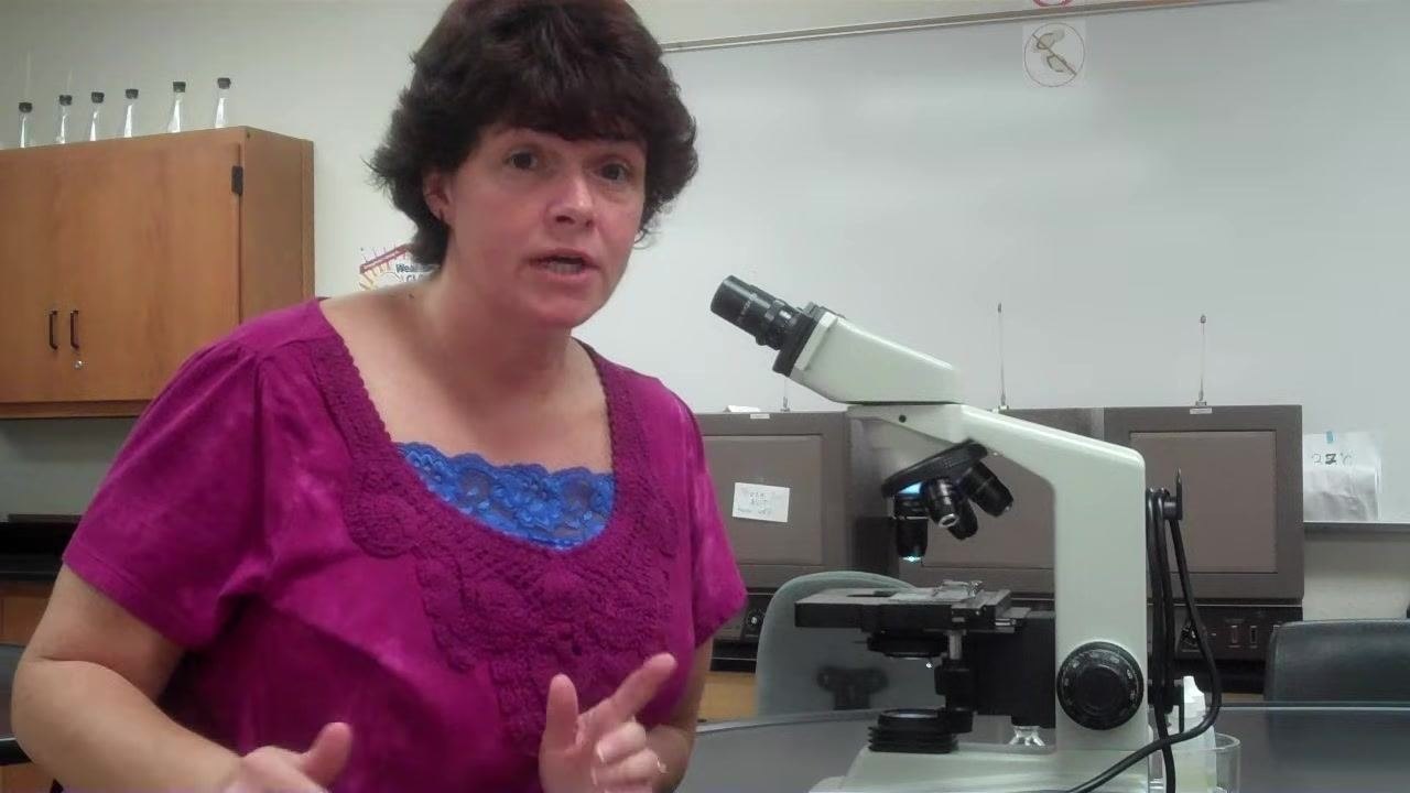 Instructor emphasizing the necessity of finding bacteria under oil immersion in the lab setting.