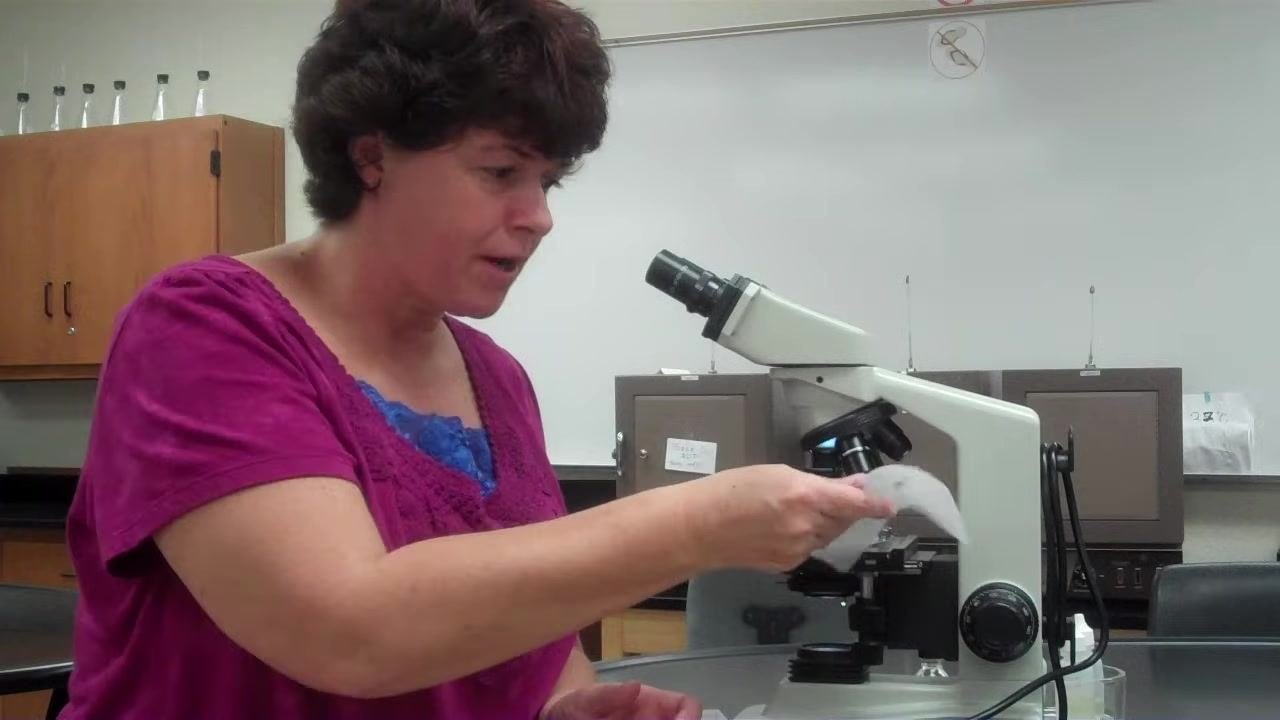 Instructor demonstrating gentle dabbing of the lens with lens paper.