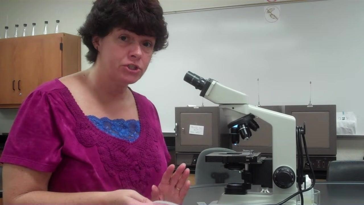 Instructor gently dabbing the lens with lens paper, demonstrating proper cleaning technique.