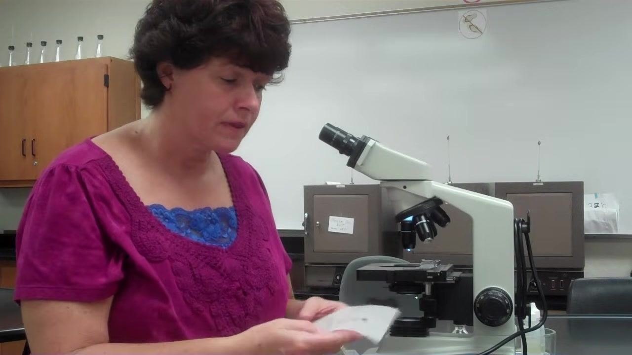 Instructor standing beside the microscope, holding lens paper, preparing to finish up after observation.