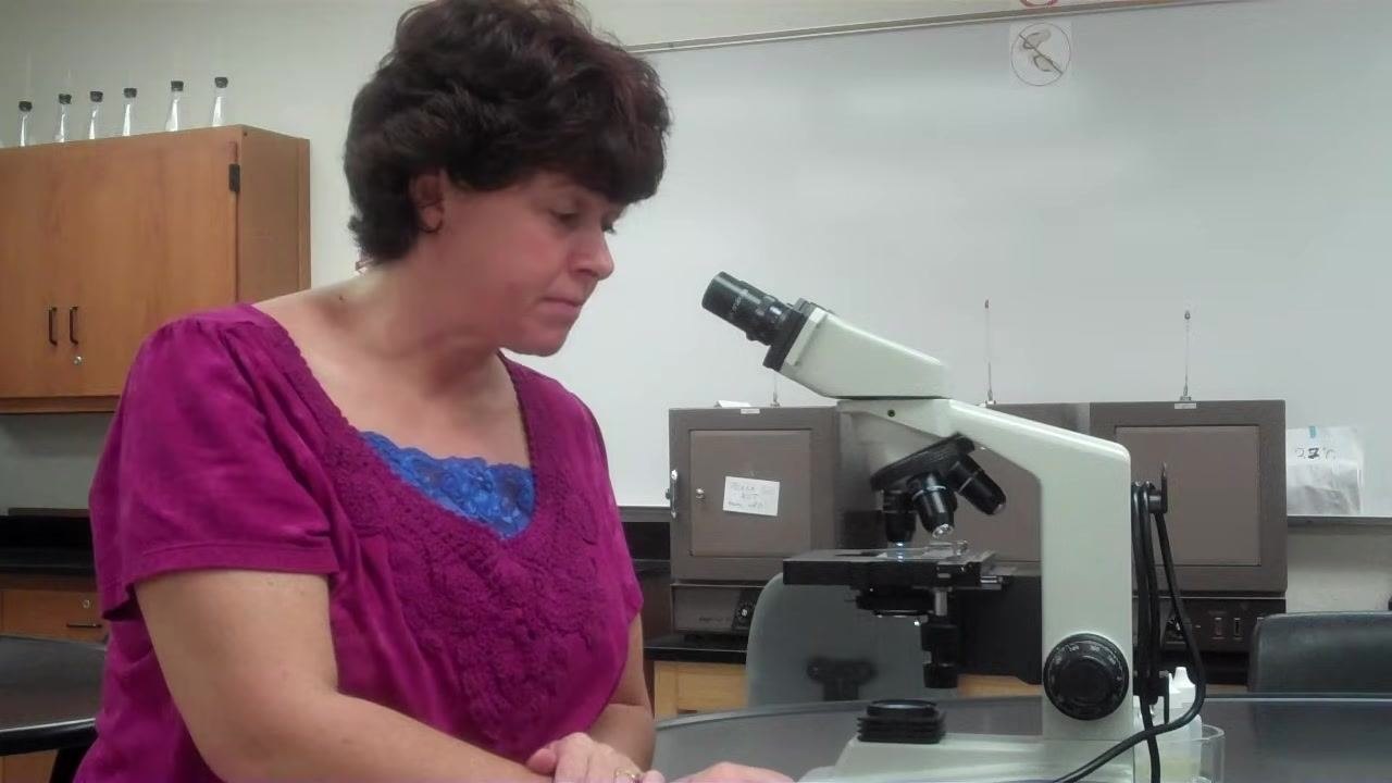 Instructor sits back from the microscope, preparing to switch to the 40x objective.