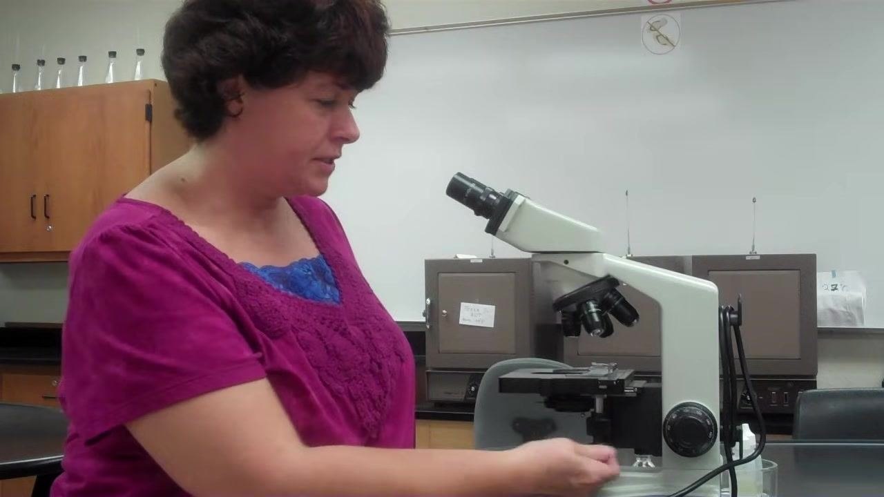 Instructor centering the mechanical stage arm on the microscope.
