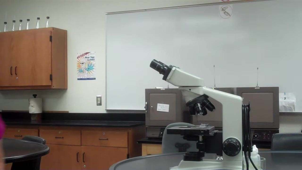 Clean lab environment with the microscope properly positioned after the workspace has been tidied.
