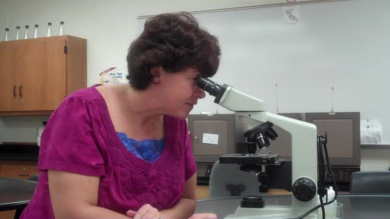Instructor explaining the importance of using only the fine adjustment knob at 40x magnification.