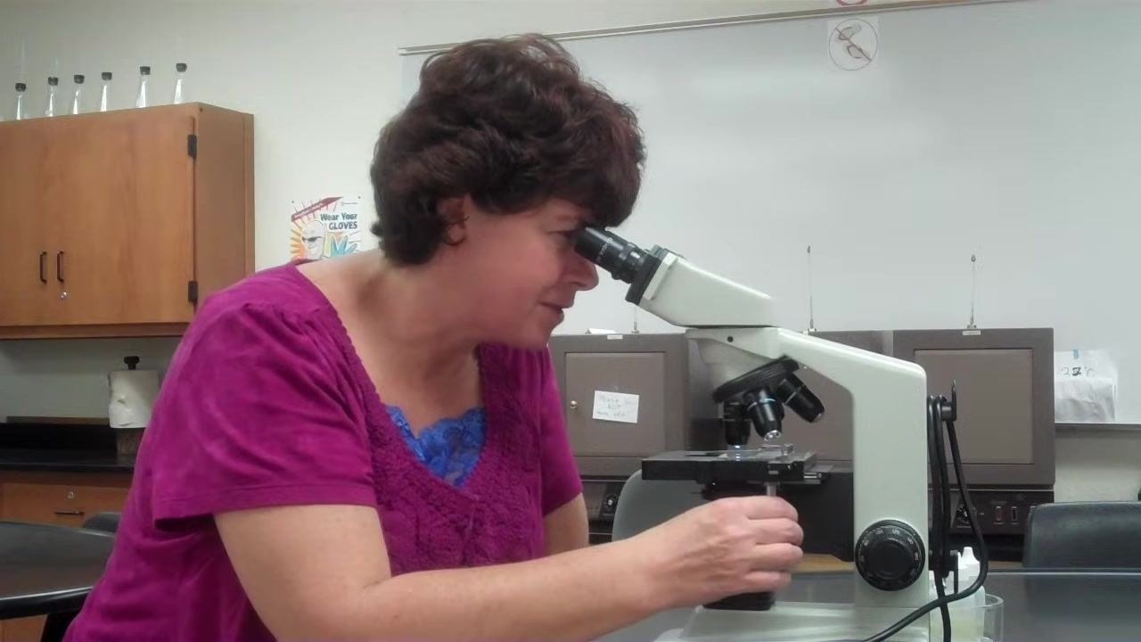 Instructor demonstrating troubleshooting by returning to the 10x objective and adjusting focus, emphasizing centering the specimen.