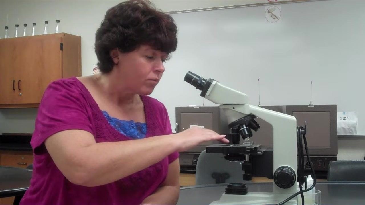 Instructor gesturing over the microscope stage, explaining common student issues with focusing.