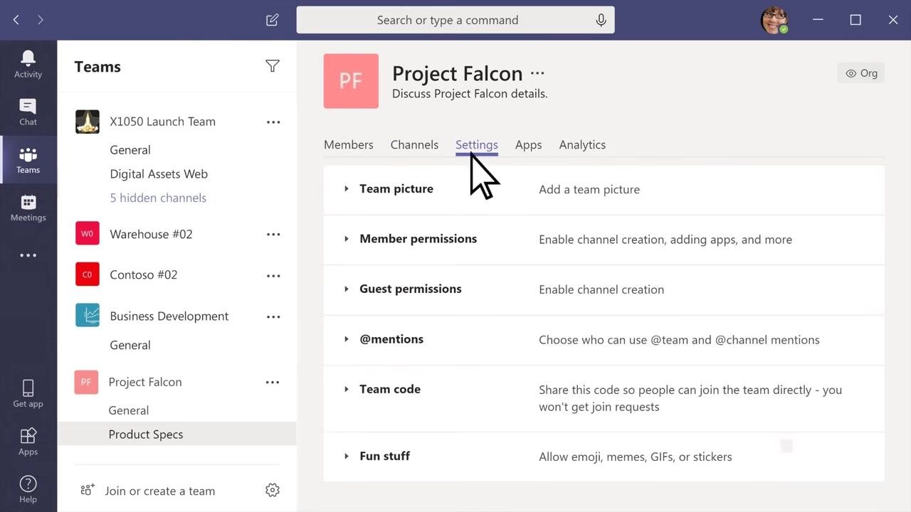 Manage Team Settings tab open for "Project Falcon", showing options for Team picture, Member permissions, Guest permissions, @mentions, Team code, and Fun stuff