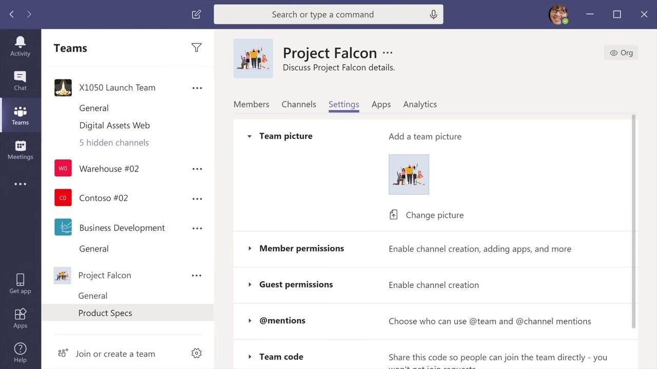 Team picture successfully added for "Project Falcon" in the Settings tab, with the new image displayed