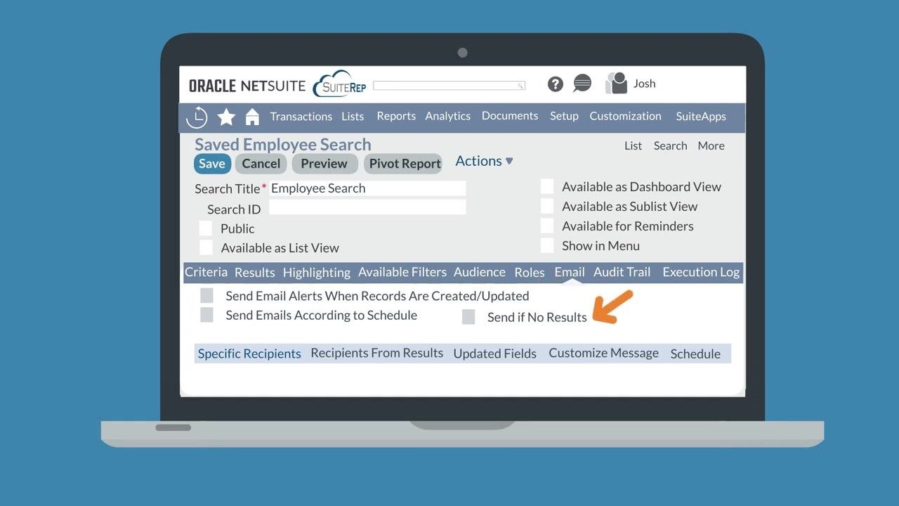 Email subtab active, showing checkboxes for Send Email Alerts When Records Are Created/Updated, Send Emails According to Schedule, and Send if No Results, with tabs for Specific Recipients, Recipients From Results, Updated Fields, Customize Message, and Schedule