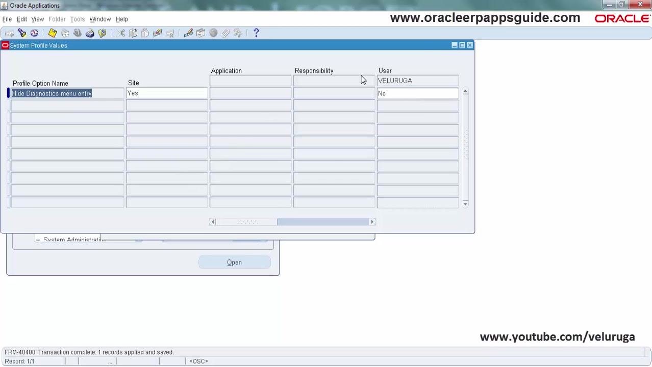 System Profile Values window showing 'Hide Diagnostics menu entry'; the Site value is 'Yes' and the User value for 'VELURUGA' is set to 'No'.