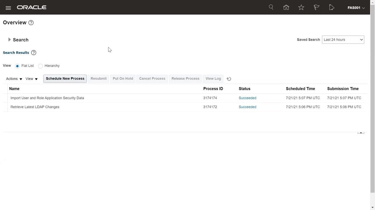 Scheduled Processes screen with the Schedule New Process button highlighted and completed jobs showing Succeeded status