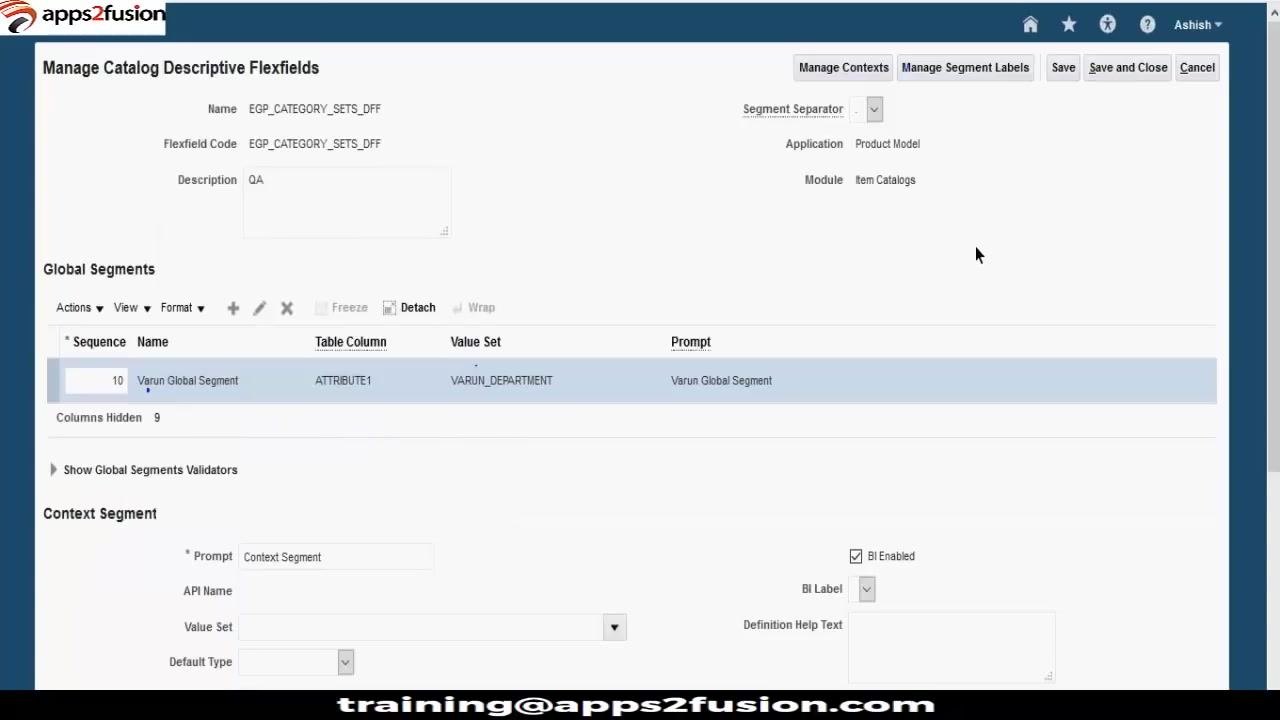 Manage Catalog Descriptive Flexfields screen showing the context and global segments displayed properly
