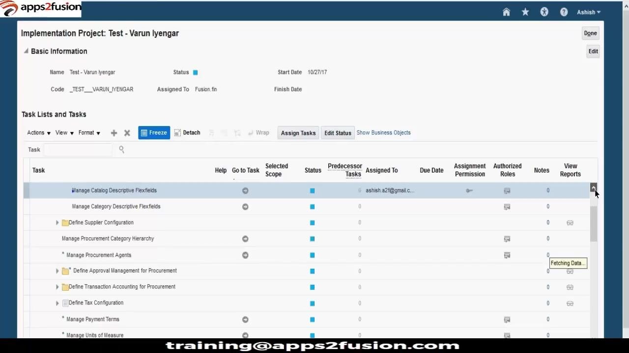 Implementation Project screen showing the Manage Catalog Descriptive Flexfields task highlighted in the task list