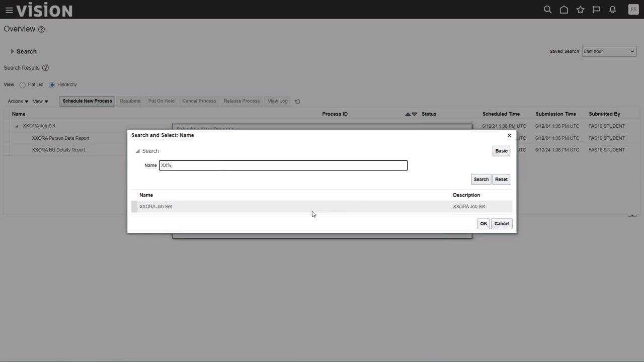 Schedule New Process dialog with the Job Set option being selected and the Name field ready for input.