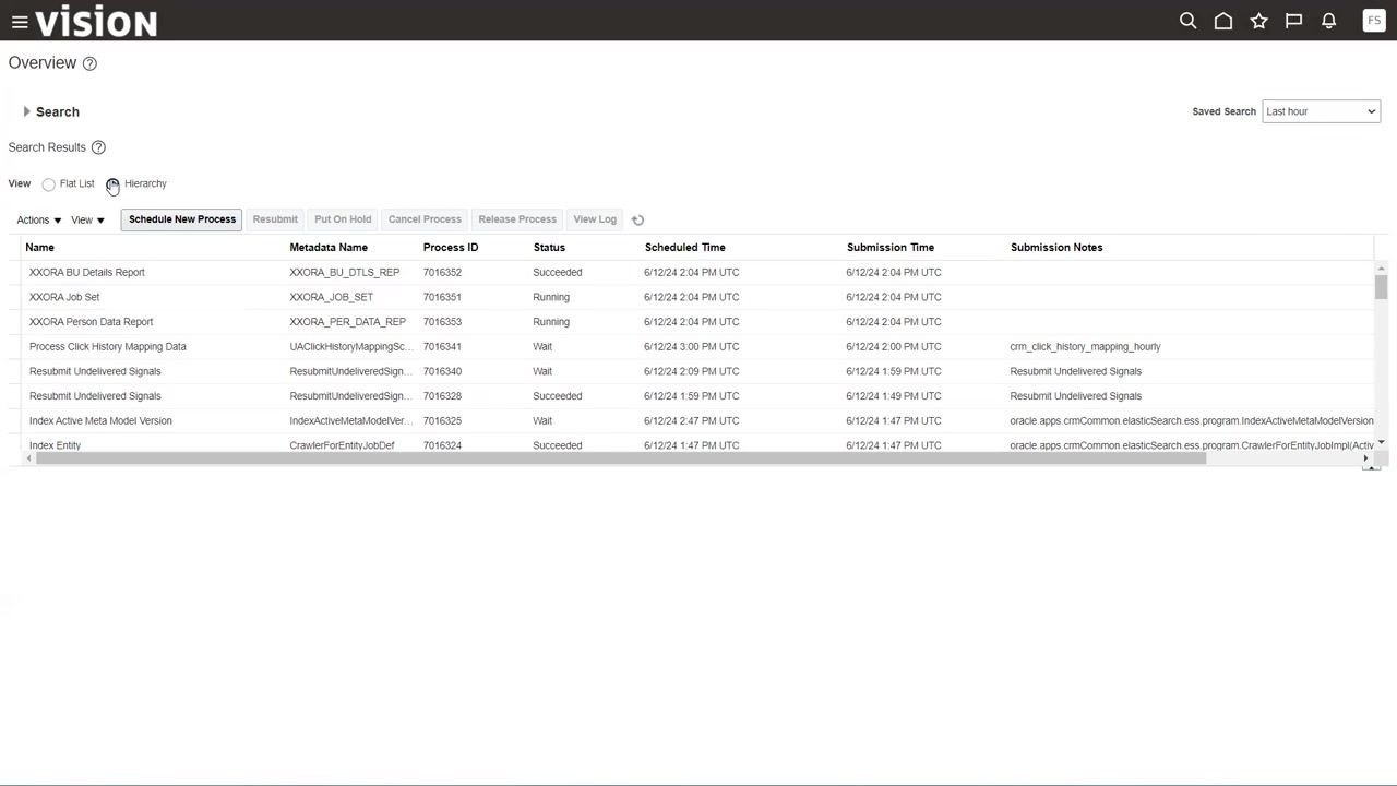 Overview screen in Hierarchy view showing the XXORA Job Set as a parent, with child jobs listed underneath along with statuses and process details.