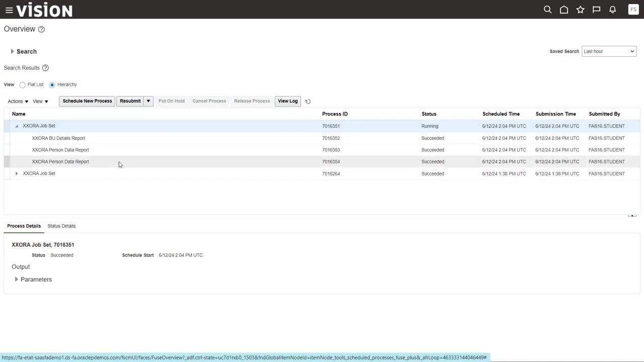 Process list showing only the XXORA Job Set entries, both marked as Succeeded, confirming successful completion.