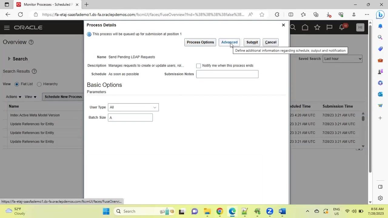 Process Details window open in Oracle Fusion, showing fields for process name, description, user type, batch size, and the Advanced Options tab selected