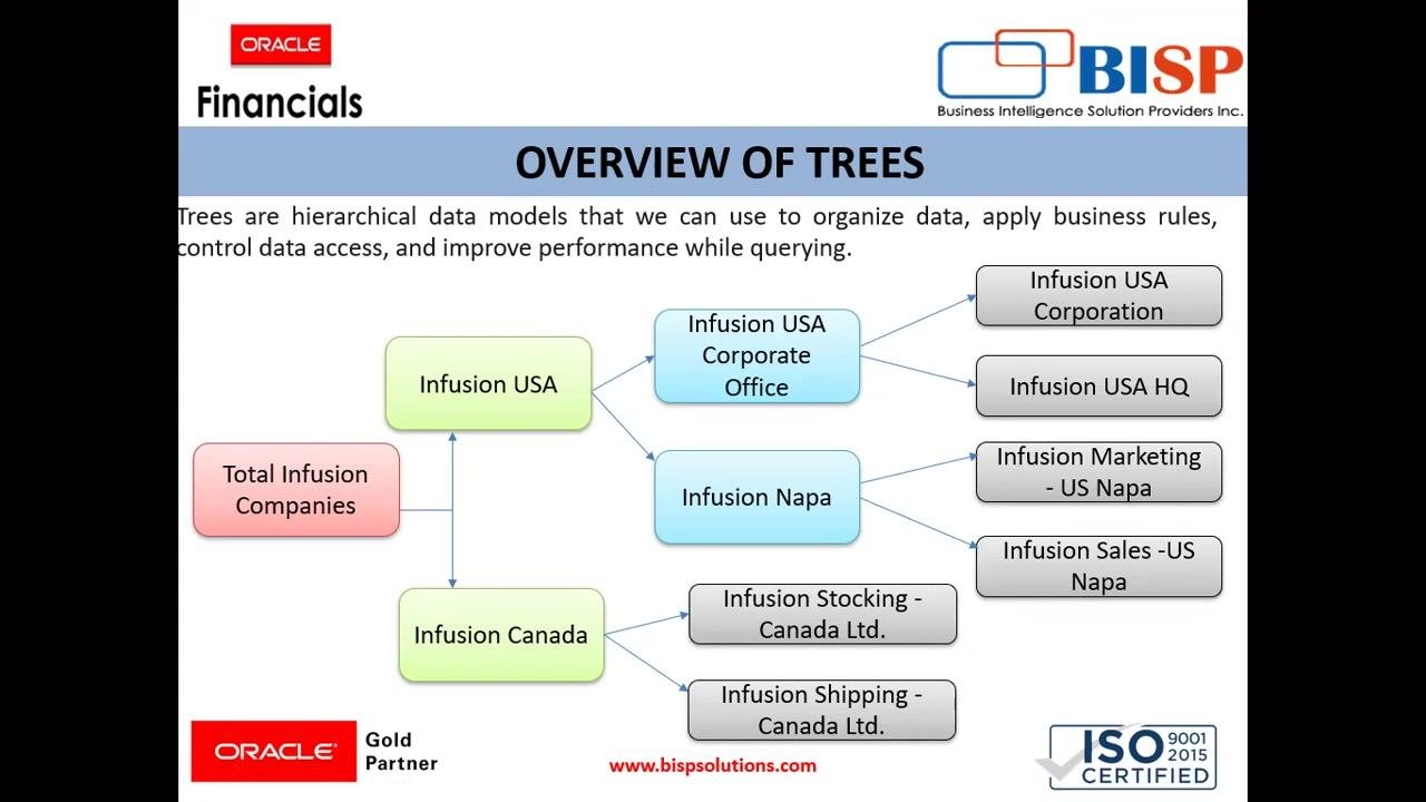 Title slide showing "Oracle Fusion Financials - Account Hierarchies" with consulting and certification details, and icons for Financials, Workforce, Capex, Projects, CRM