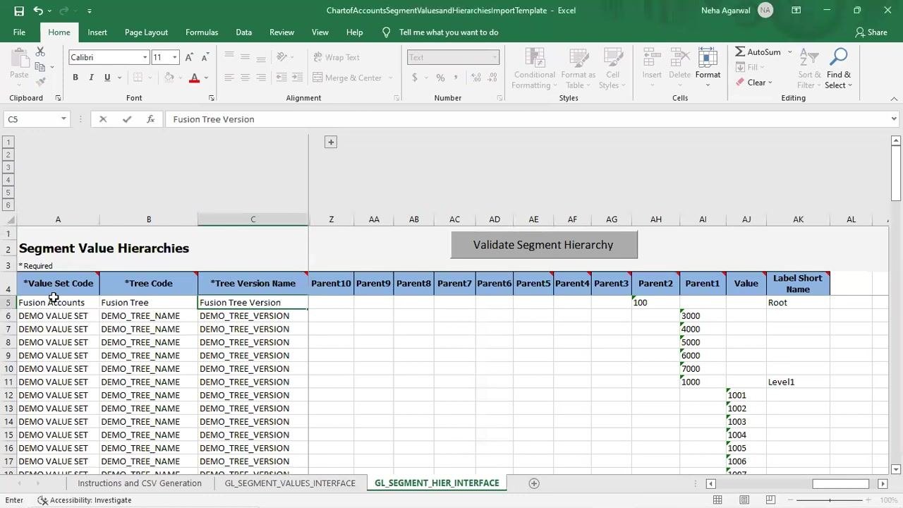 Excel sheet "GL_SEGMENT_HIER_INTERFACE" with hierarchy values being updated, showing columns for Value Set Code, Tree Code, Tree Version Name, and parent/value relationships