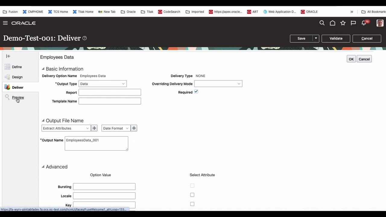 Preview option selected in the navigation menu, with the Deliver section still visible.