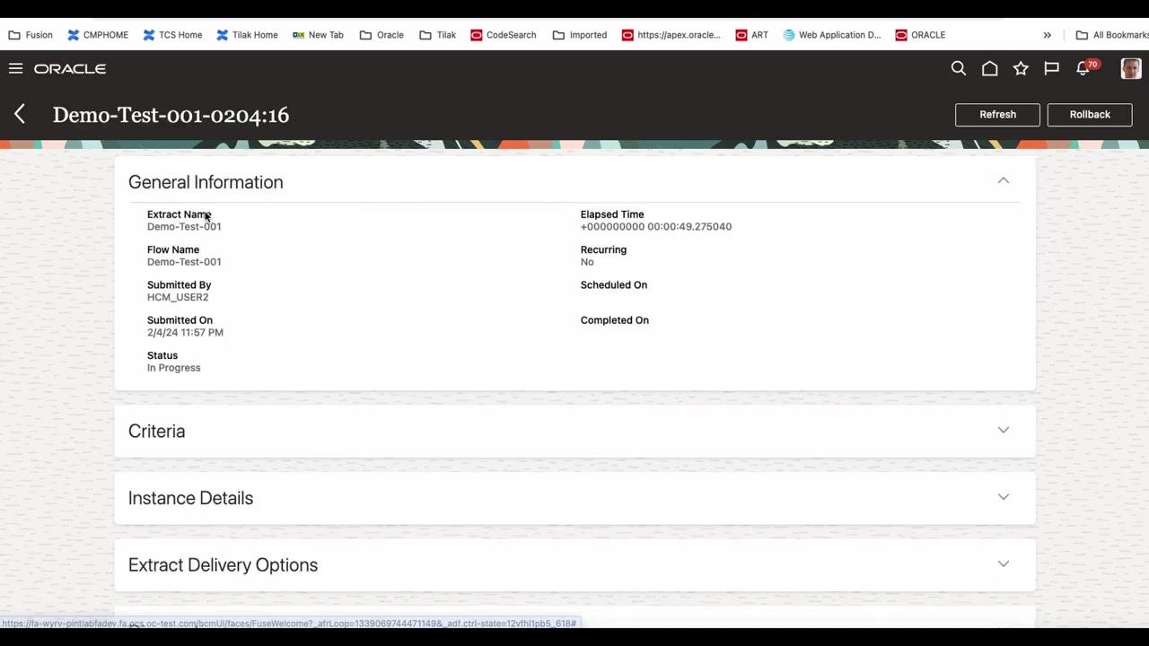 Extract instance details page showing status, elapsed time, and expandable sections.